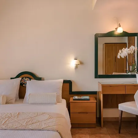 Griffon Previously Known As Valledi Village