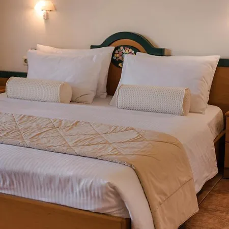 Griffon Previously Known As Valledi Village Hotel 2*